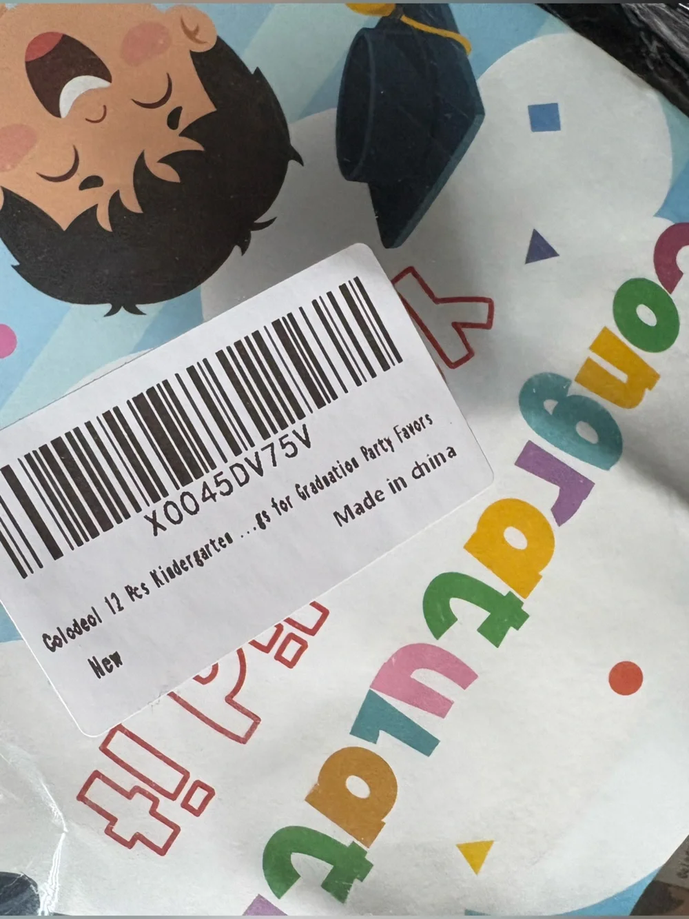 Graduation Gift Bags 42 count